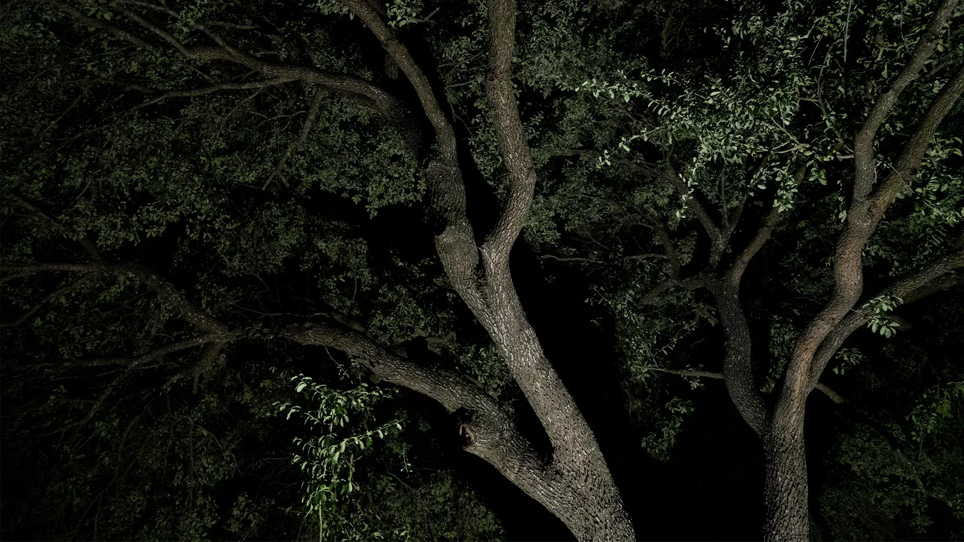Making Dark Sounds Together — hero image
