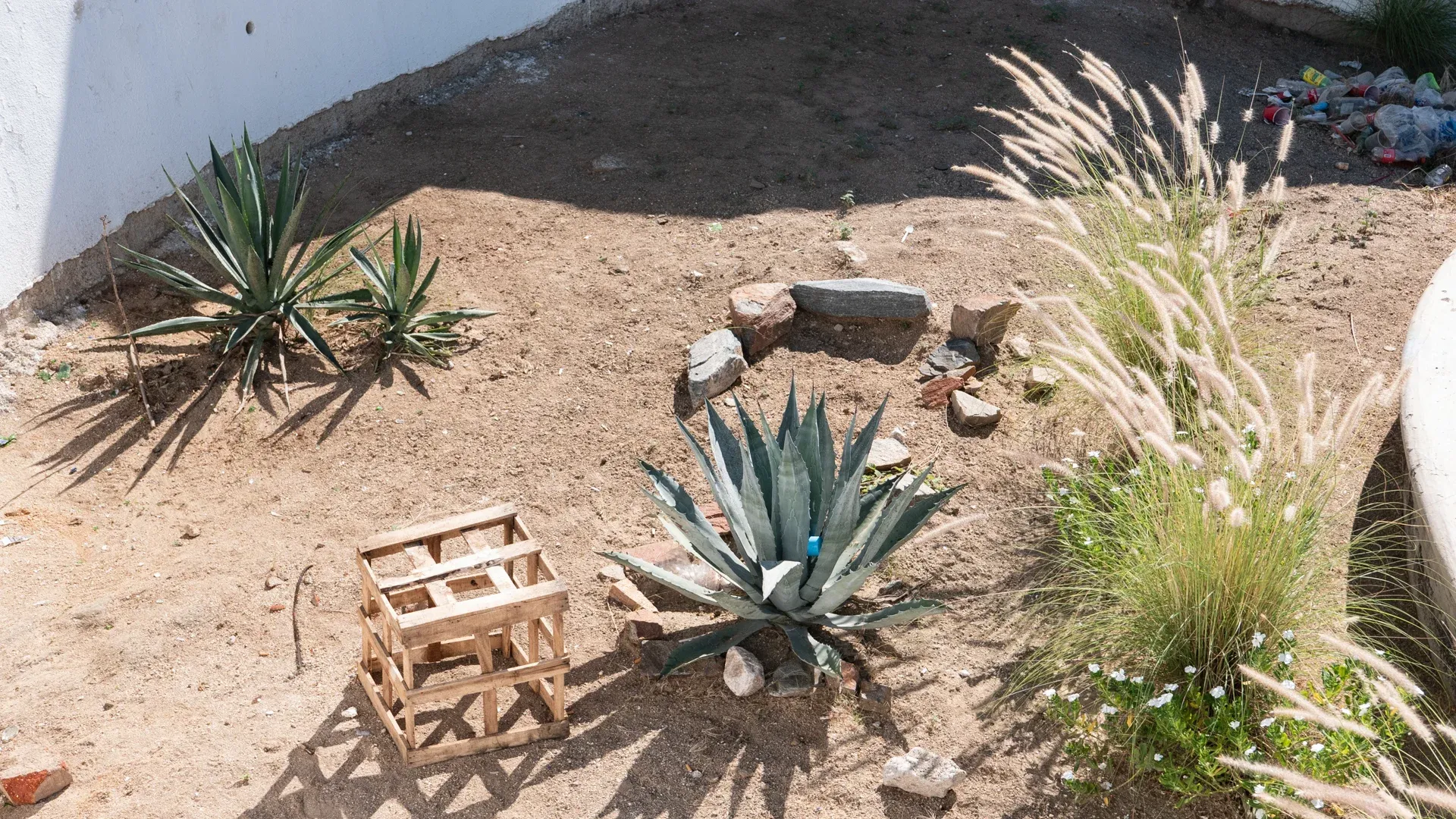 cabo-san-lucas-objects-sand.jpg